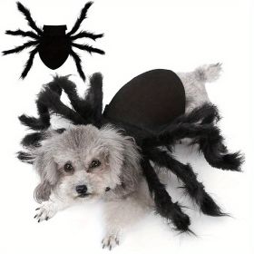 Pet Spider Clothing - Halloween Spider Clothing Suitable For Cats And Small And Medium-sized Dogs Halloween Party Dress Up (Color: Black, size: Xl)
